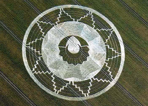Unification Molecule Crop Circle