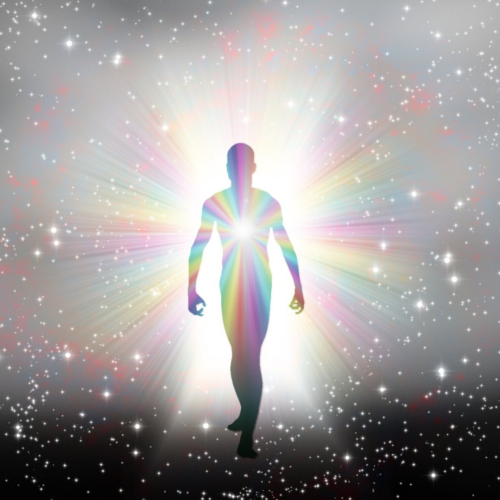 Cosmic Life Regression
