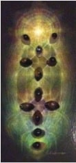 Cosmic Shiva Eye – Amplifiers