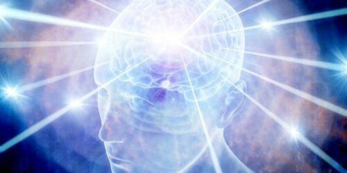 Transforming Toxicity - Home Study