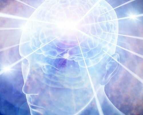Transforming Toxicity - Home Study