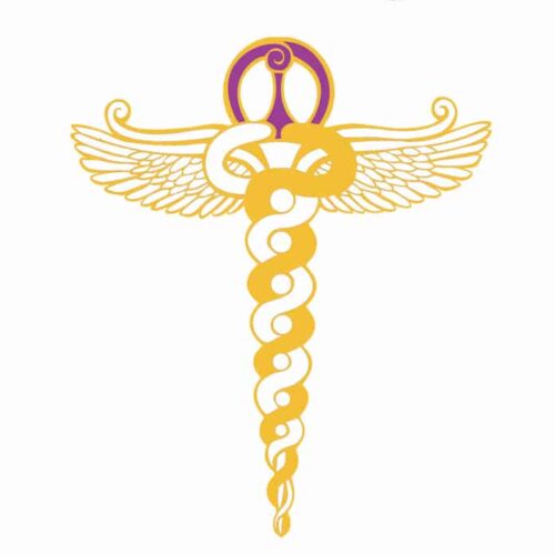 Avesa Medical Intuitive AMI-1: Chakras and the Physical Body