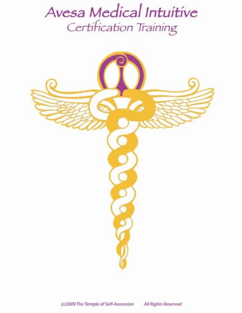 Avesa Medical Intuitive AMI-1: Chakras and the Physical Body