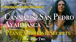 Cannabis, San Pedro, Ayahuasca: Plant Medicine Secrets Part Two