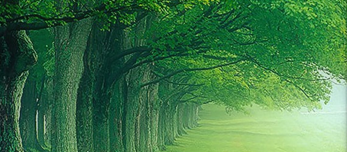 trees